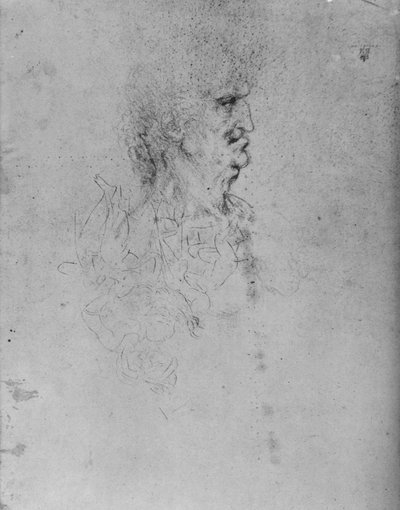 Profil till höger om en gammal man, c1480 1945 av Leonardo da Vinci