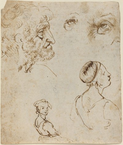 Studieark [recto] av Leonardo da Vinci