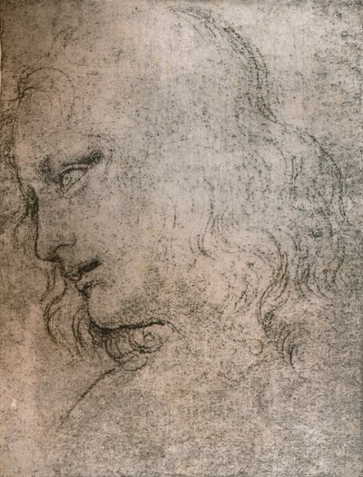 Studera för huvudet av Sankt Filip i `The Last Supper`, c1494-c1499 1883. av Leonardo da Vinci