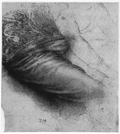 Studie av ett plagg för St Anne, 1503-1517 1954 av Leonardo da Vinci