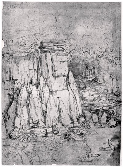 Studie av en stenig grotta med ankor, 1482-1485 1954 av Leonardo da Vinci