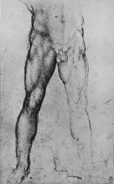 Studie av den nedre halvan av en naken man vänd mot fronten, c1480 1945 av Leonardo da Vinci