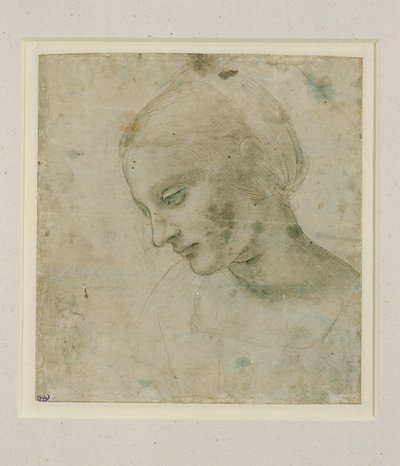 Kvinnohuvud nästan i profil ... av Leonardo da Vinci
