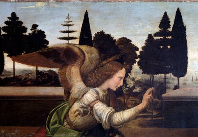 Bebådelsen, detalj av ängeln - olja på trä av Leonardo da Vinci