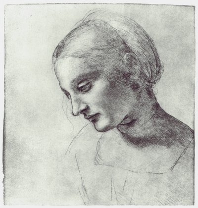 En Madonnas huvud, c1484-1486 av Leonardo da Vinci