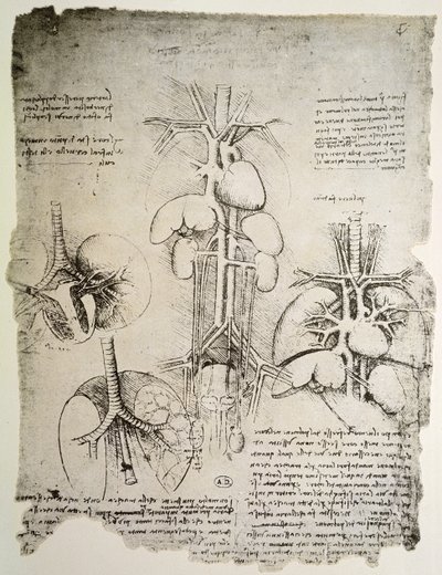 The Heart and the Circulation, faksimil av Windsor-boken (penna och bläck på papper) av Leonardo da Vinci