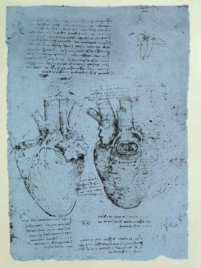 The Heart, faksimil av Windsor-boken (penna och bläck på papper) av Leonardo da Vinci