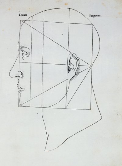 Människohuvudet, illustration för 