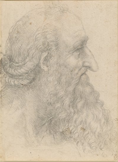 Huvudet på en gammal skäggig man, ca 1517. av Leonardo da Vinci