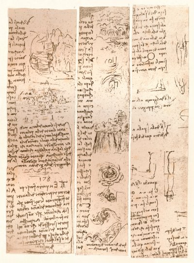 Tre ritningar, c1472-c1519 1883 av Leonardo da Vinci