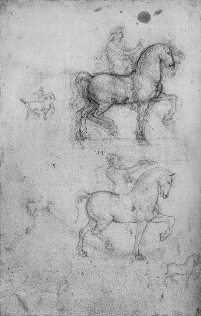 Två studier av hästar och ryttare och mindre studier av hästar, c1480 1945 av Leonardo da Vinci