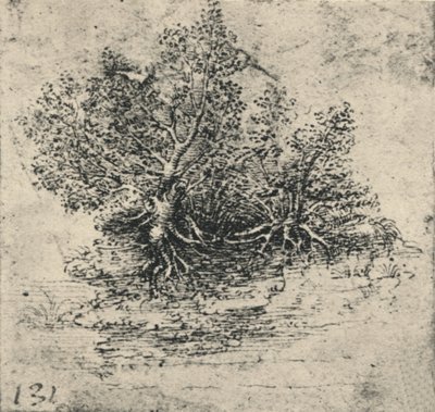 Två träd på stranden av en bäck, c1480 1945 av Leonardo da Vinci