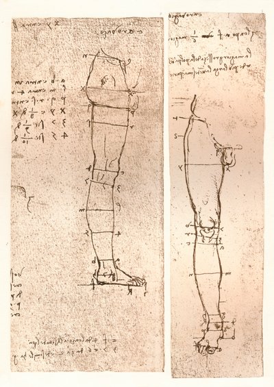 Två ritningar som illustrerar teorin om proportionerna av den mänskliga figuren, c1472-c1519 1883 av Leonardo da Vinci