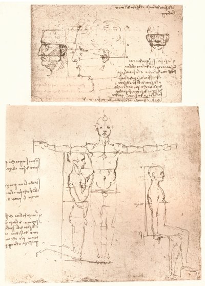 Två ritningar som illustrerar teorin om proportionerna av den mänskliga figuren, c1472-c1519 1883. av Leonardo da Vinci