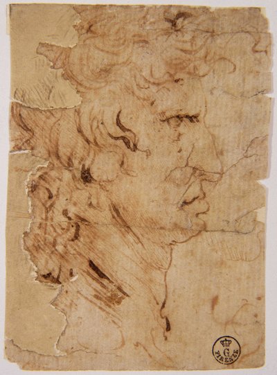 Okänd bild av Leonardo da Vinci