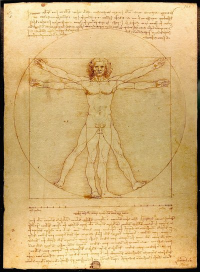 Vitruviansk man av Leonardo da Vinci