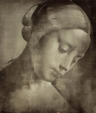 Kvinnligt huvud. 1470-1519 av Leonardo da Vinci