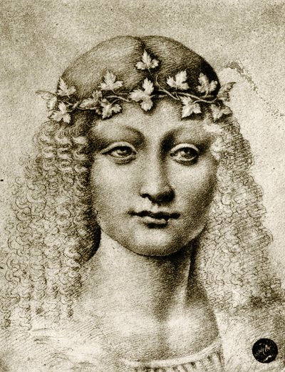 Huvudet av en flicka kransad med vinstockar av Leonardo da school of Vinci