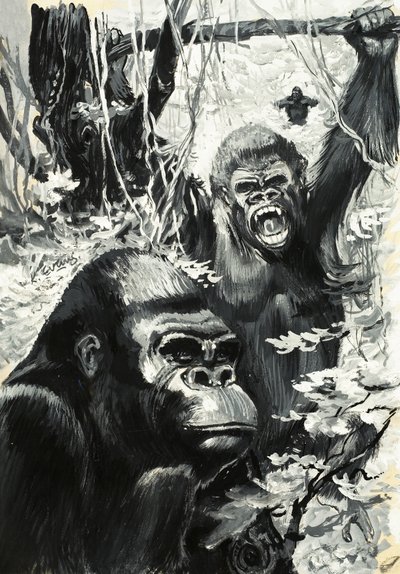 Gorillor av Leslie Field Evans