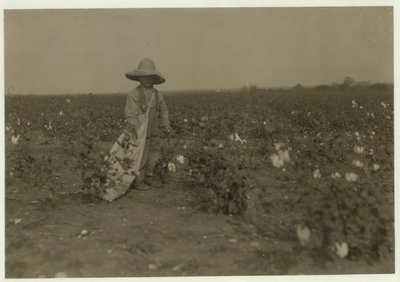 5-åriga Willie Hesse plockar 15 pund bomull om dagen på sina föräldrars 80 hektar stora gård nära West, Texas, 1913 av Lewis Wickes Hine