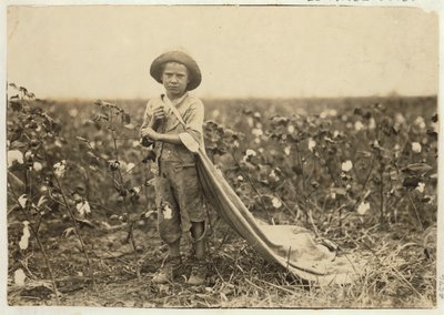 6-åriga Warren Frakes med cirka 20 pund bomull i sin väska i Comanche County, Oklahoma, 1916 av Lewis Wickes Hine