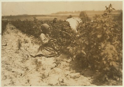 En sexårig polsk flicka plockade bär hela dagen med sin familj (Scholtz) vid Rock Creek nära Baltimore, Maryland, 1909 av Lewis Wickes Hine