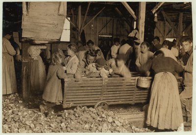 Bill May, 5 år gammal som tjänar 15 cent om dagen, i skuren på Barataria Canning Company, Biloxi, Mississippi, 1911 av Lewis Wickes Hine