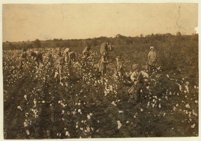 Familjen plockade bomull nära McKinney, Texas, 1913 av Lewis Wickes Hine