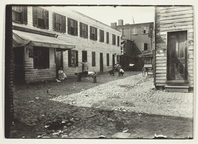 Negro Alley Housing Whites, Washington, D.C. av Lewis Wickes Hine