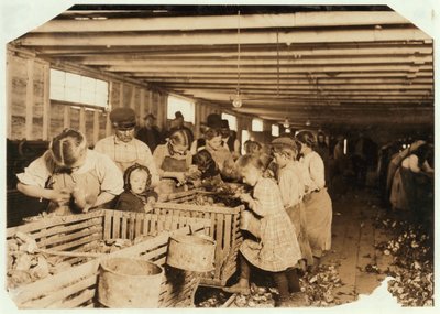 Rosy i åldern 8 arbetar en 14-timmars dag som ostron-shucker på Dunbar Cannery, Louisiana, 1911 av Lewis Wickes Hine