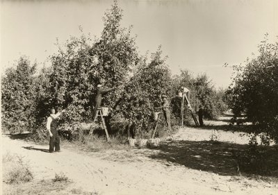 Utan titel, ca. 1935. av Lewis Wickes Hine