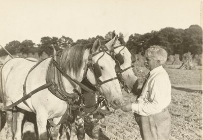 Utan titel, ca. 1935. av Lewis Wickes Hine