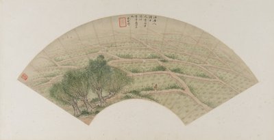 Risfält med hägrar, Qingdynastin, 1741 (bläck och färg på papper) av Li Shizuo