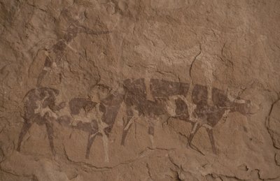 Boskap och mänskliga figurer, Grottmålning, Oued i Djeran, Nära Djanet, Tassili n