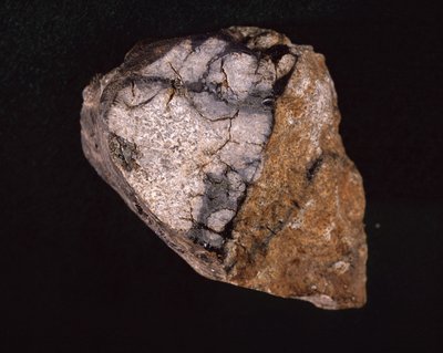 Meteorit hittades i Indien 1875 - Museum d