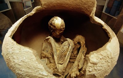Mamma i en keramikurna. Atacama-civilisationen, paleolitikum. av Unbekannt Unbekannt