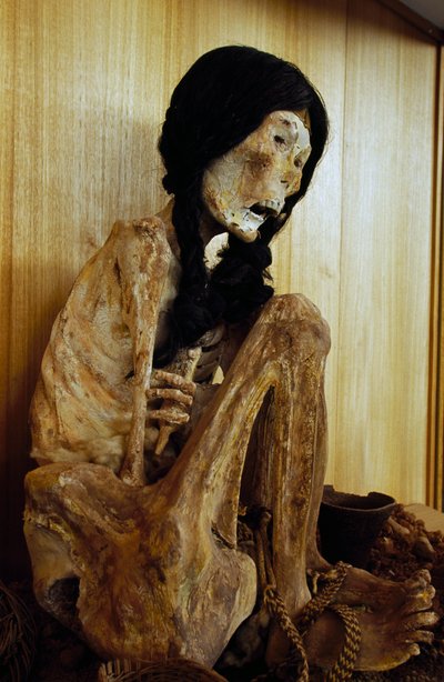 Mamma känd som Miss Chile, från San Pedro de Atacama, Chile, 500 f.Kr av Unbekannt Unbekannt