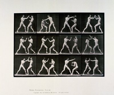 Nakna manliga idrottare som boxas, c 1872-1885 av Unbekannt Unbekannt
