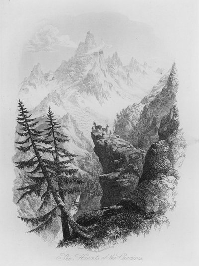 The Haunts of the Chamois (gravyr) av Lieutenant Colonel (after) Batty