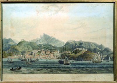 En vy över staden St. George och Richmond Heights på ön Grenada, graverad av William Daniell 1769-1837, gravyr c.1810 av Lieutenant Colonel J. Wilson