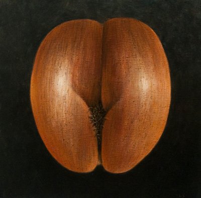 Coco de Mer, 2010 (akryl på duk) av Lincoln Seligman