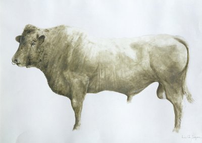 Islay Bull, 2004 (akryl på duk) av Lincoln Seligman