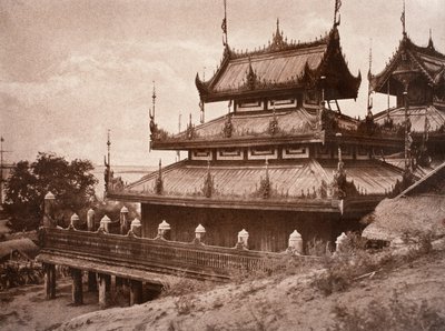 nr 8. Y er-male-gaiyou som [yen högmodig AU att].K ung. av Linnaeus Tripe