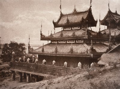 nr 8. Y er-male-gaiyou som [yen högmodig AU att] K ung, 1855 av Linnaeus Tripe