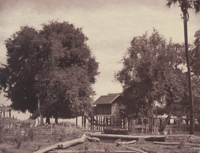 Tsagain Myo: Utsikt nära Irrawaddyfloden av Linnaeus Tripe