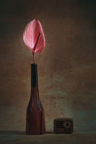 Elegant Anthurium and Radio av Liu Xing