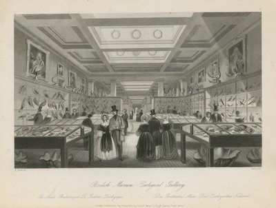 Zoologiskt rum på British Museum av Llewellyn Jewitt