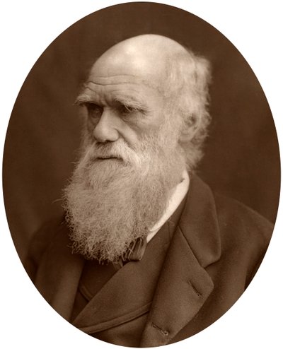Charles Darwin, 1878. av Lock and Whitfield