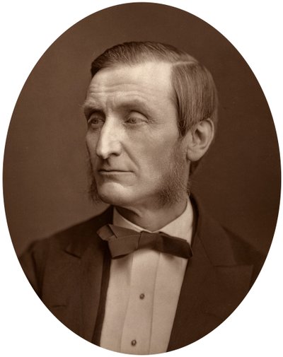 John Hall Gladstone, president för Chemical Society, 1880. av Lock and Whitfield