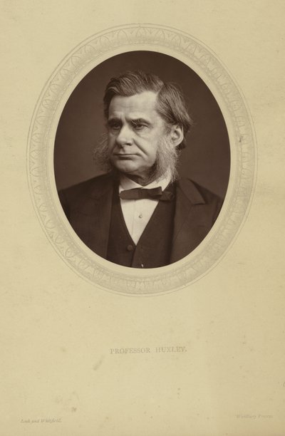 Porträtt av Thomas Henry Huxley av Lock and Whitfield
